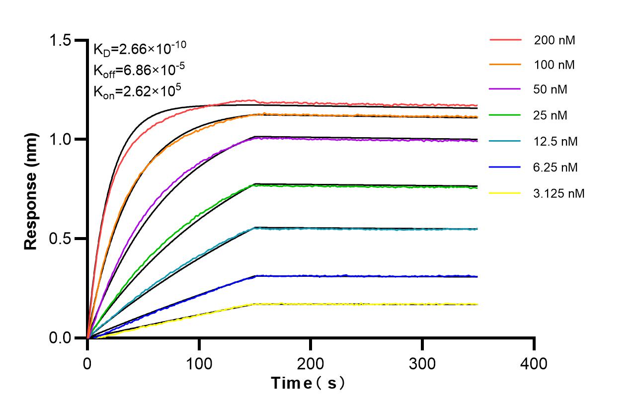 Affinity of 88025-1-RR