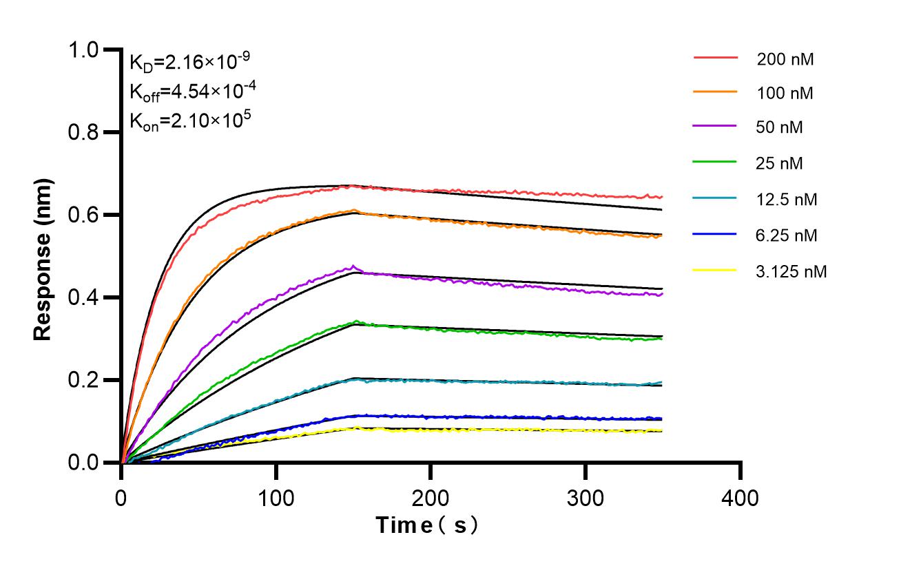 Affinity of 88423-2-RR Affinity of 88423-2-RR