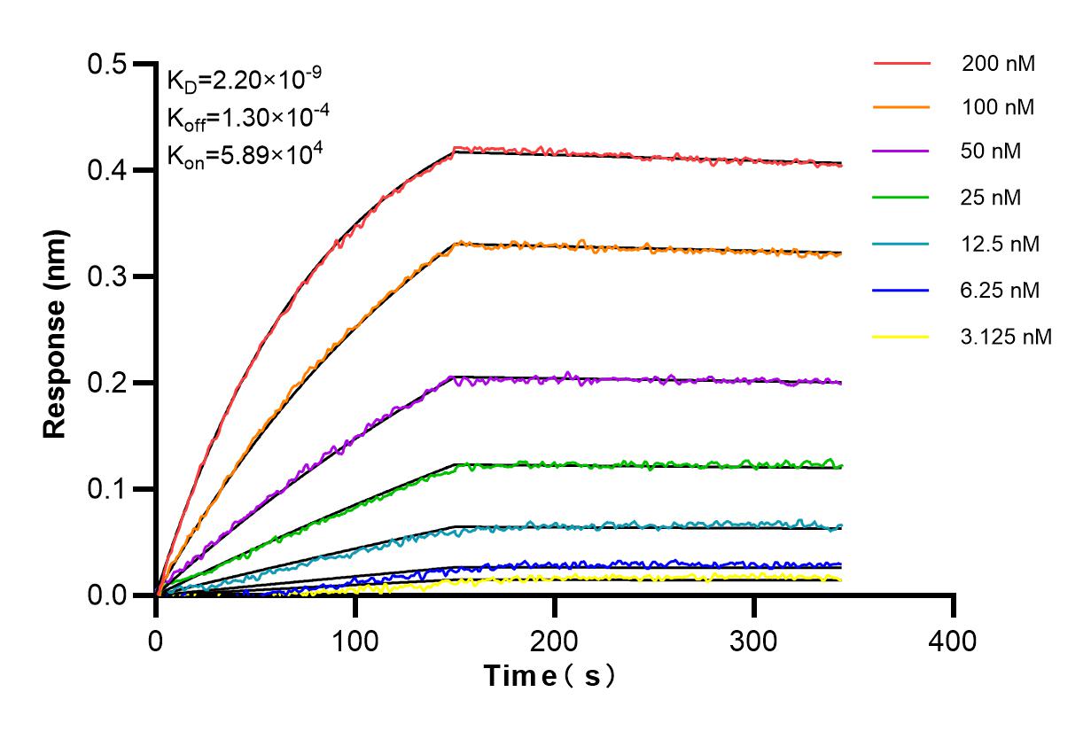 Affinity of BK0001 Affinity of BK0001