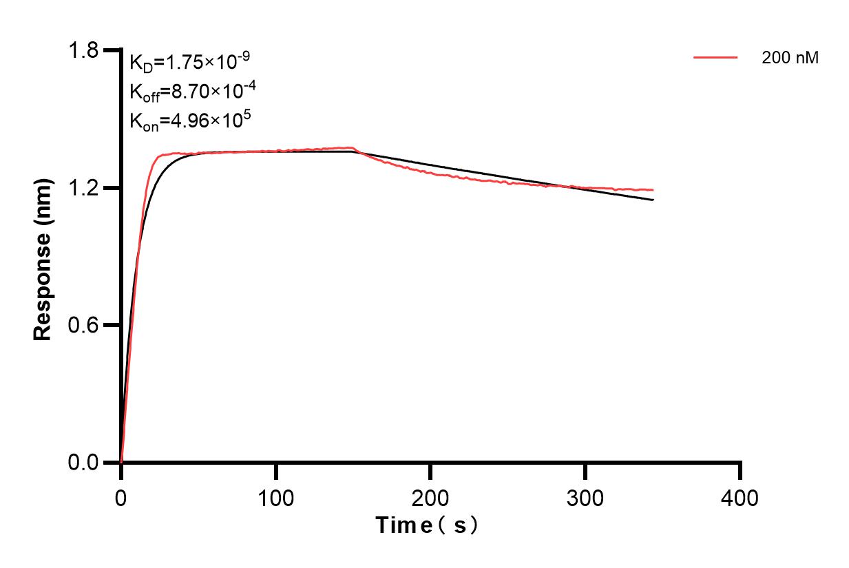 Affinity of 98075-1-PBS