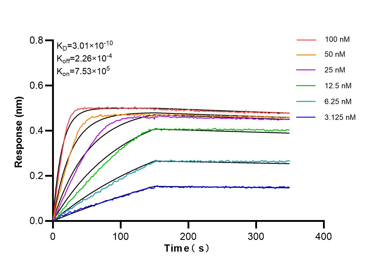 Affinity of 98163-4-RR