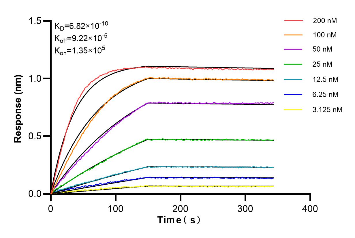 Affinity and Kinetic Characterization of 98264-6-RR