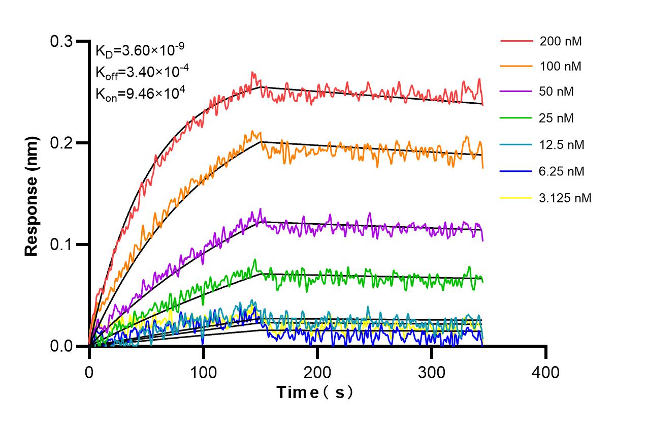Affinity and Kinetic Characterization of 98275-1-RR