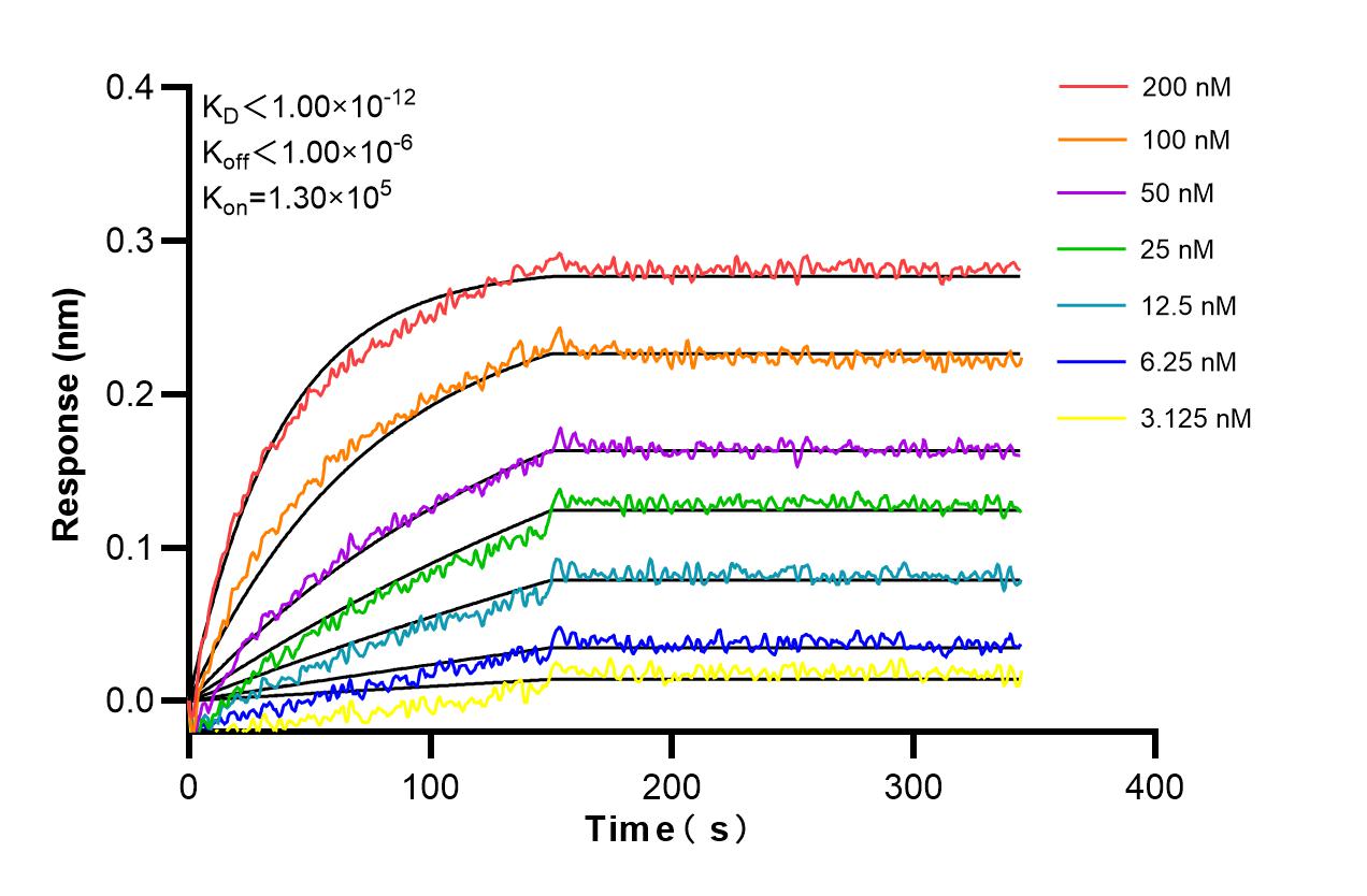Affinity and Kinetic Characterization of 98289-1-RR Affinity and Kinetic Characterization of 98289-1-RR