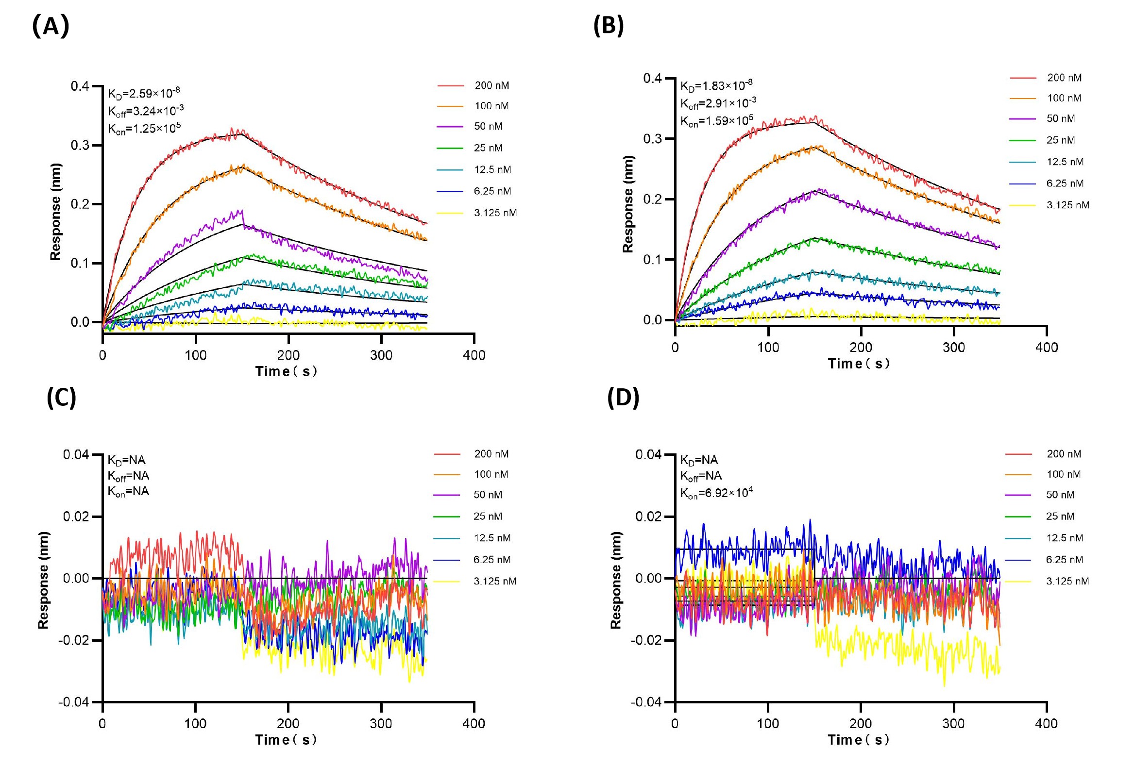 98293-1-RR specifically recognizes human CD16a