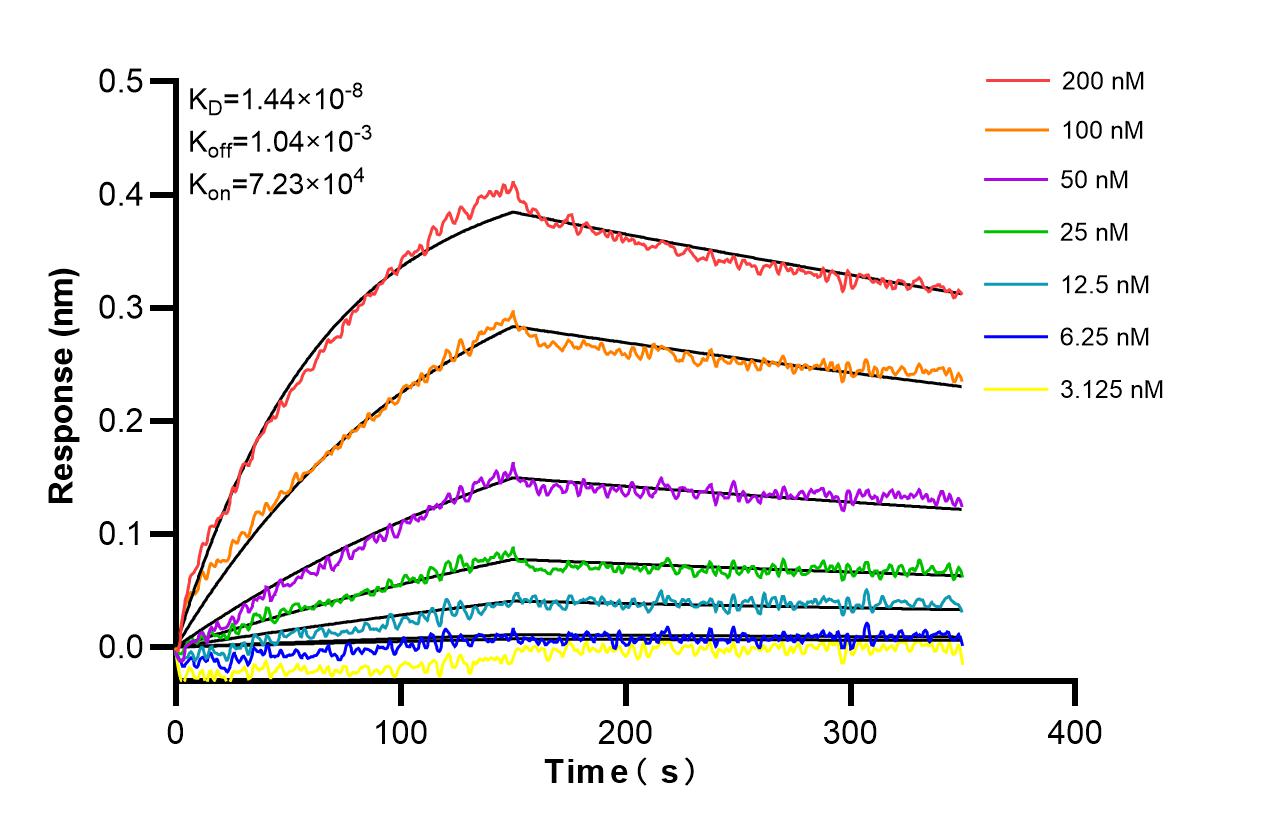 Affinity and Kinetic Characterization of 98303-5-RR Affinity and Kinetic Characterization of 98303-5-RR
