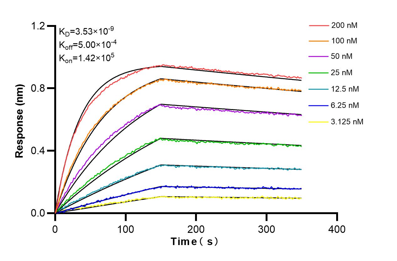 Affinity and Kinetic Characterization of 98304-3-RR