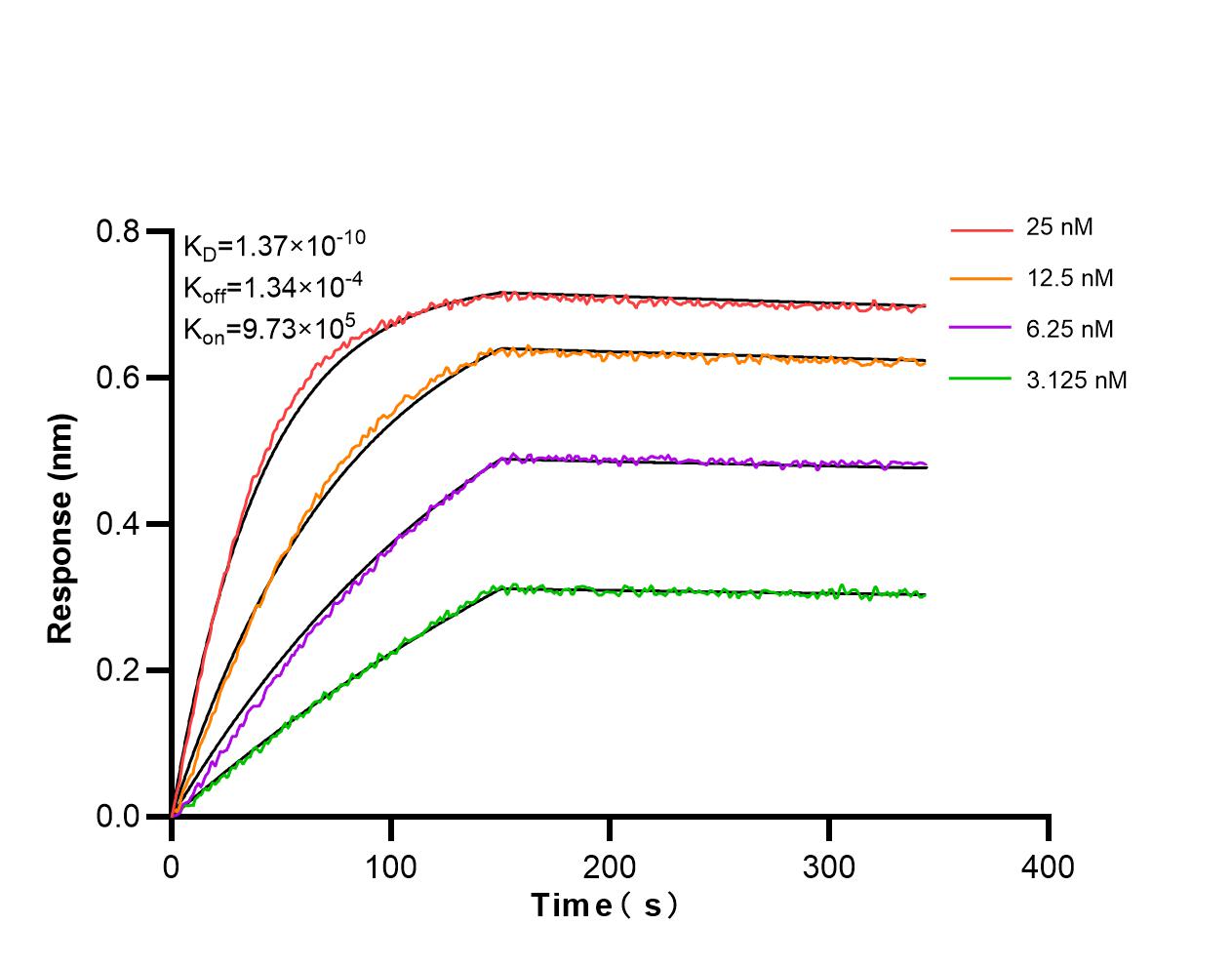 Biolayer interferometry (BLl) kinetic assays of 98388-1-RR against Mouse IL-28A were performed. The affinity constant is 0.137 nM. Affinity and Kinetic Characterization of 98388-1-RR