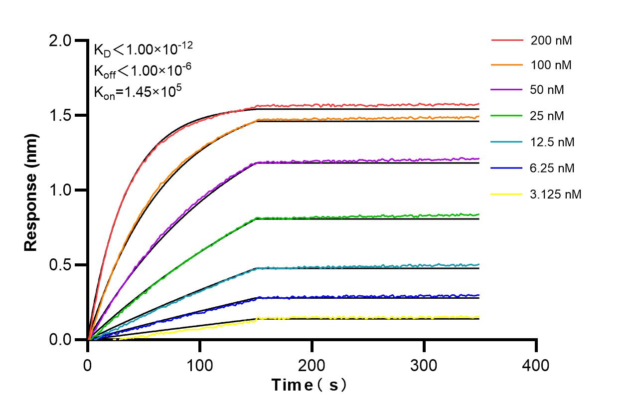 Affinity and Kinetic Characterization of 98396-1-RR