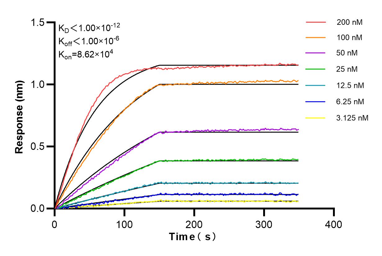 Affinity and Kinetic Characterization of 98435-2-RR