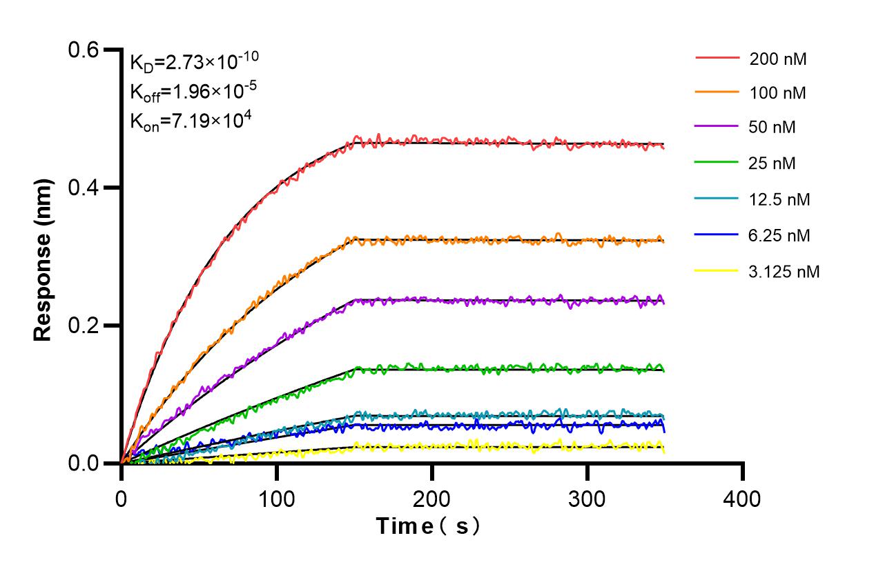 Affinity and Kinetic Characterization of 98456-3-RR