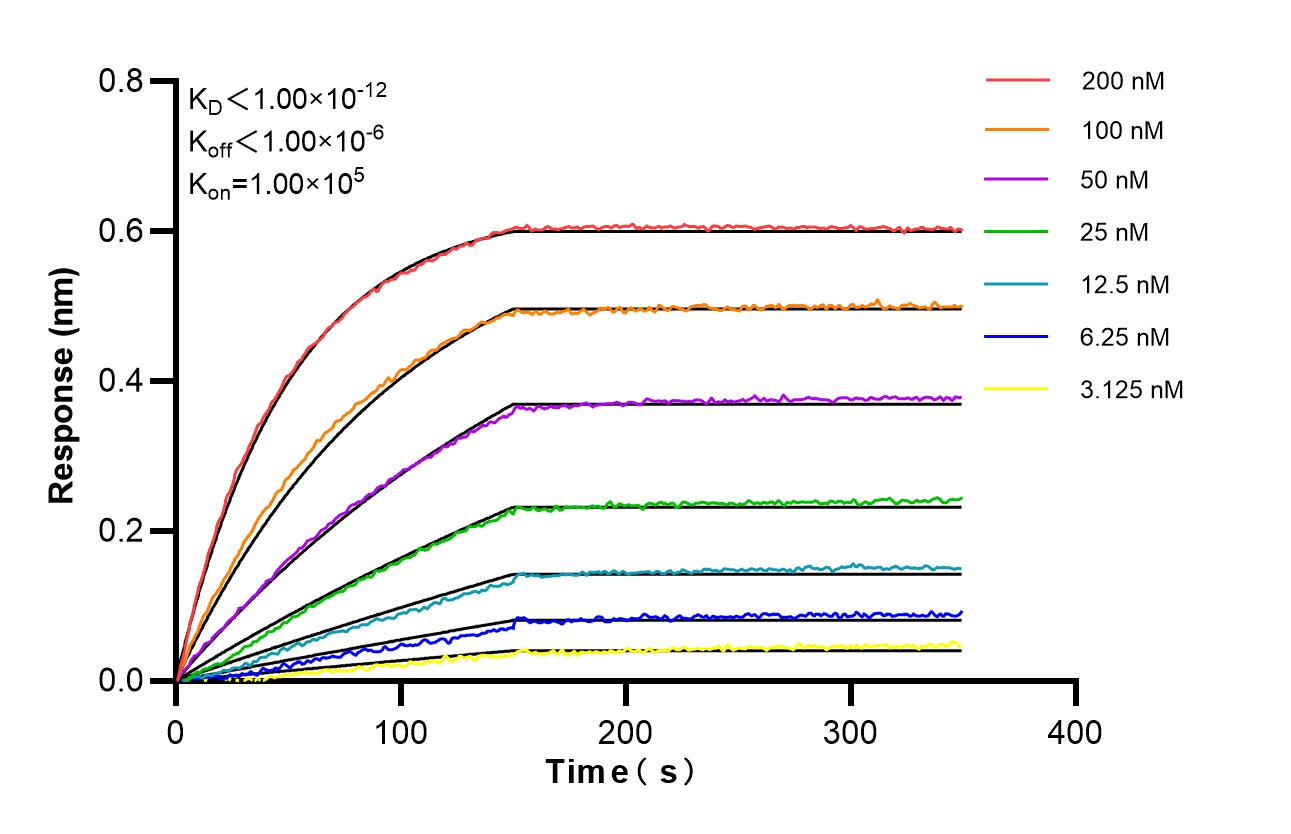Affinity of 98474-5-RR