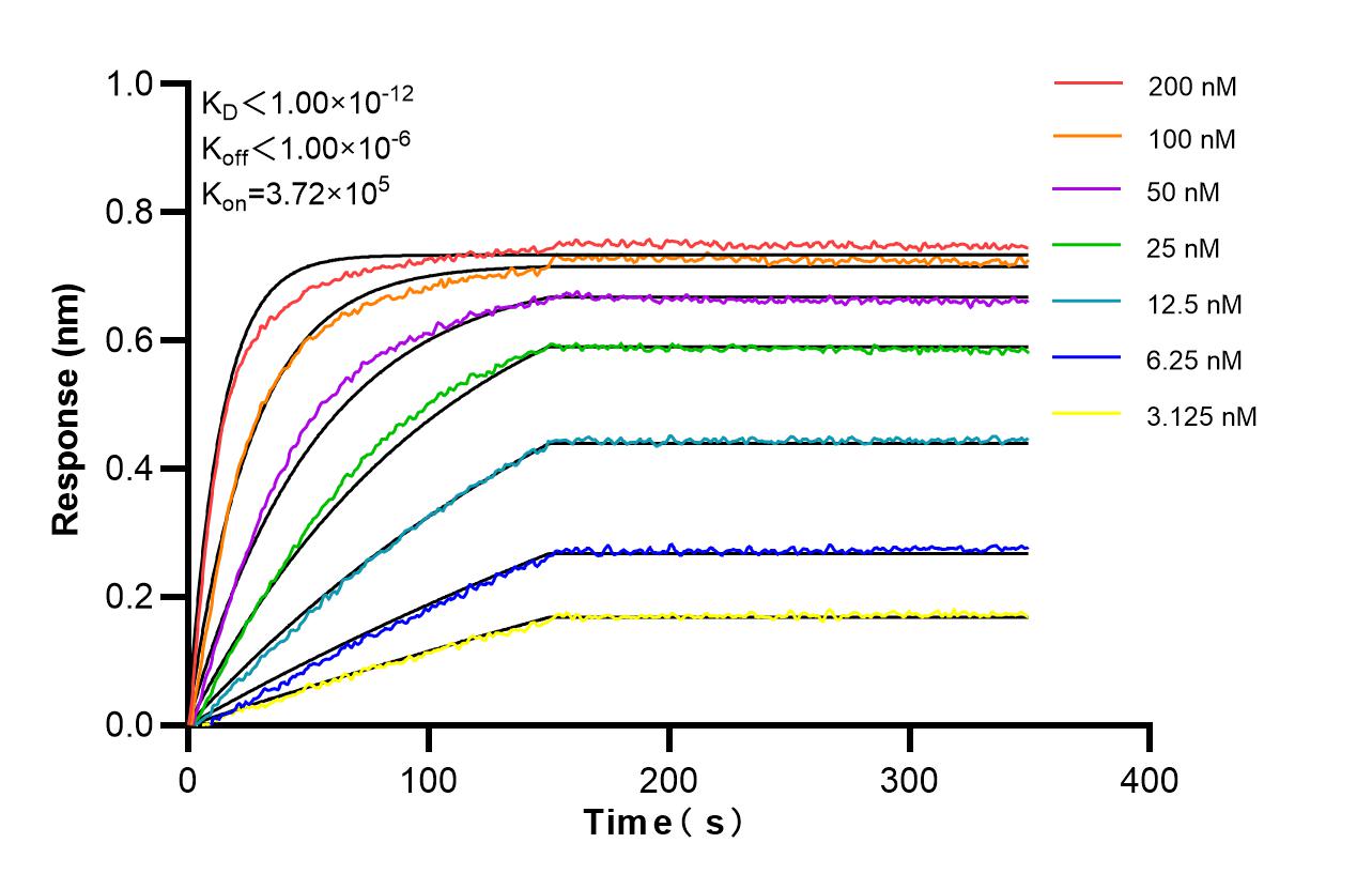 Affinity and Kinetic Characterization of 98477-1-RR
