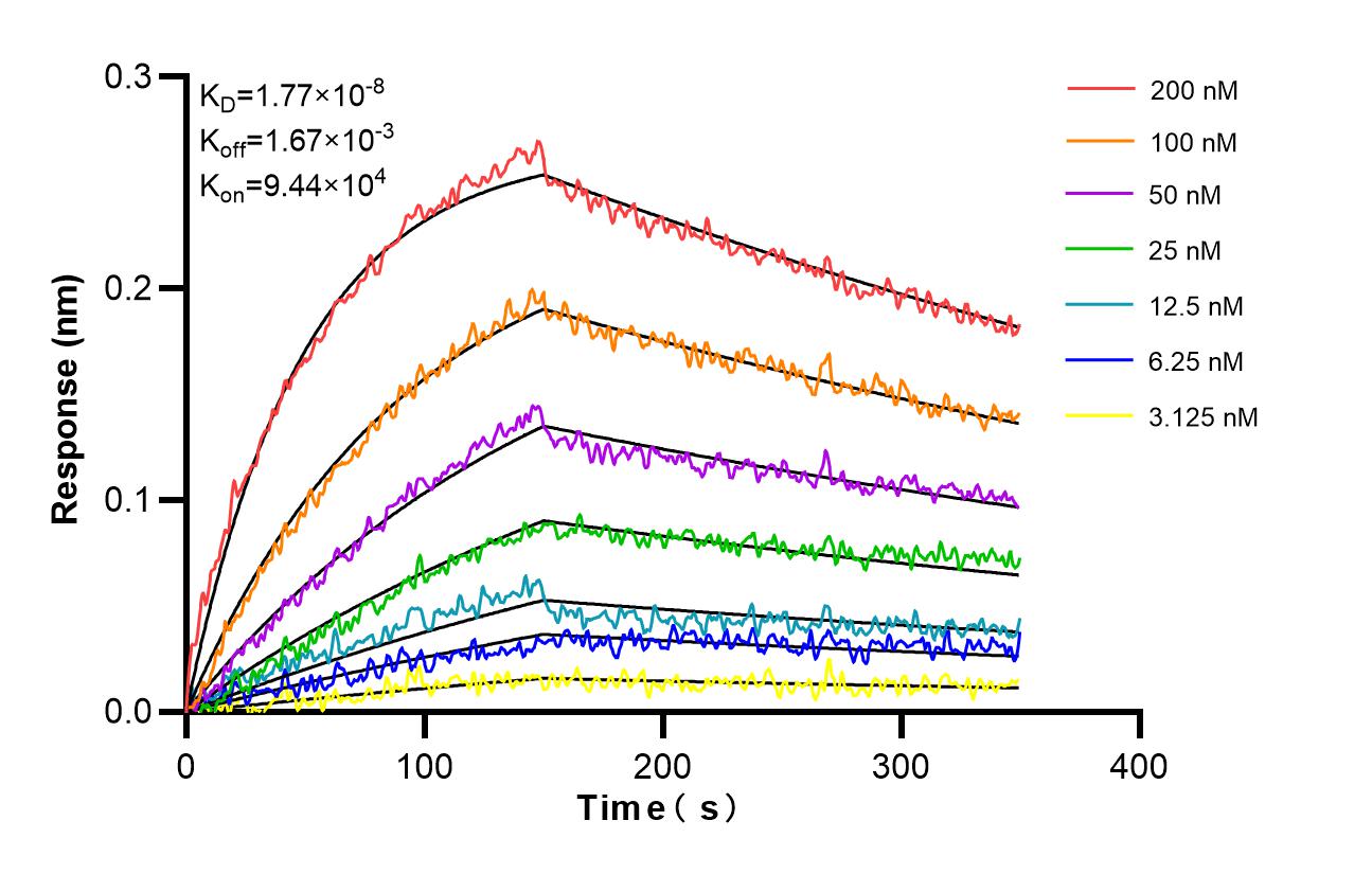 Affinity and Kinetic Characterization of 98498-1-RR Affinity and Kinetic Characterization of 98498-1-RR