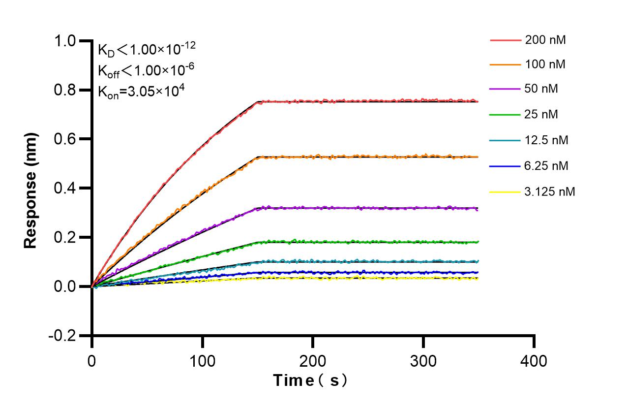 Affinity and Kinetic Characterization of 98520-2-RR