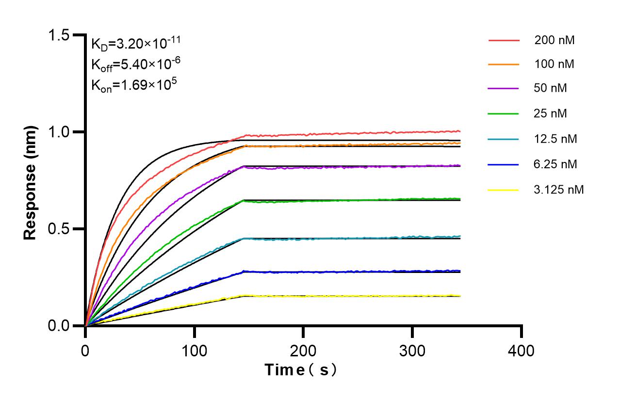 Affinity and Kinetic Characterization of 98534-2-RR
