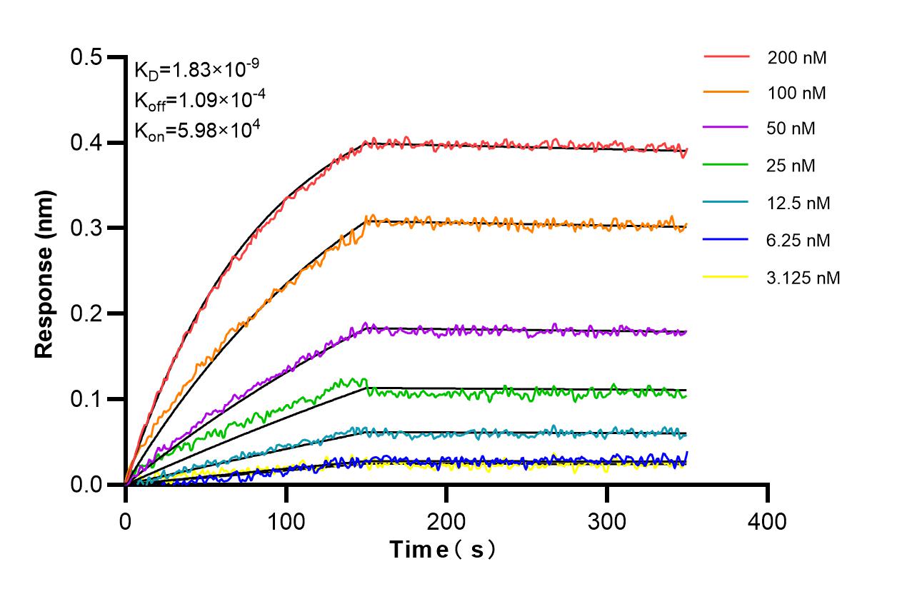 Affinity and Kinetic Characterization of 98556-1-RR Affinity and Kinetic Characterization of 98556-1-RR