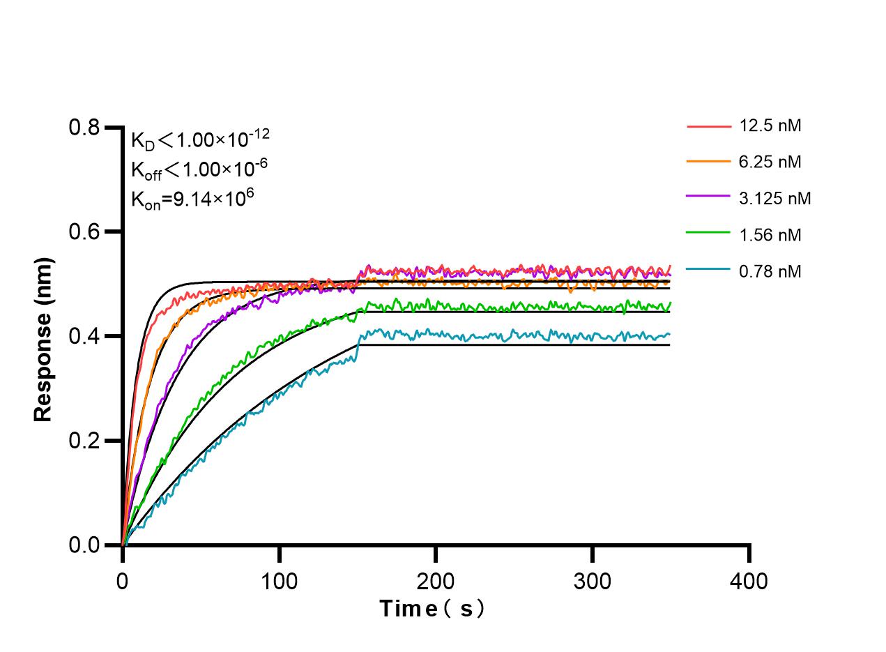 Affinity and Kinetic Characterization of 98567-3-RR Affinity and Kinetic Characterization of 98567-3-RR