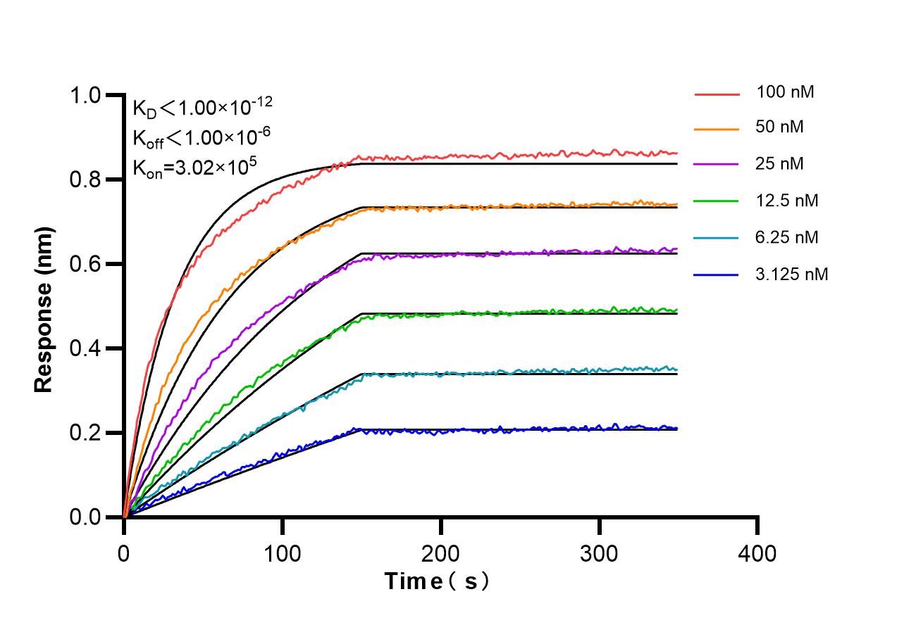 Affinity and Kinetic Characterization of 98583-3-RR