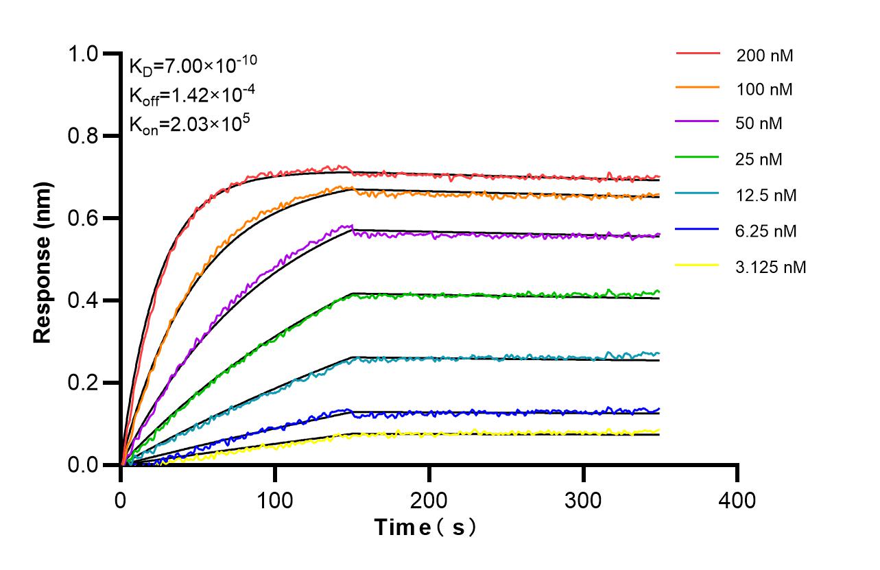 Affinity and Kinetic Characterization of 98627-1-RR Affinity and Kinetic Characterization of 98627-1-RR