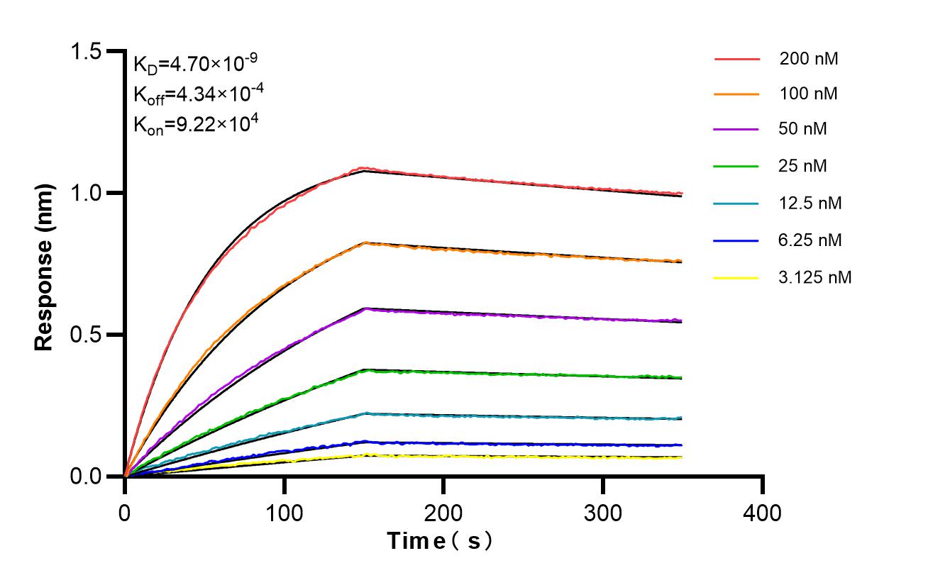 Affinity of 98633-1-RR