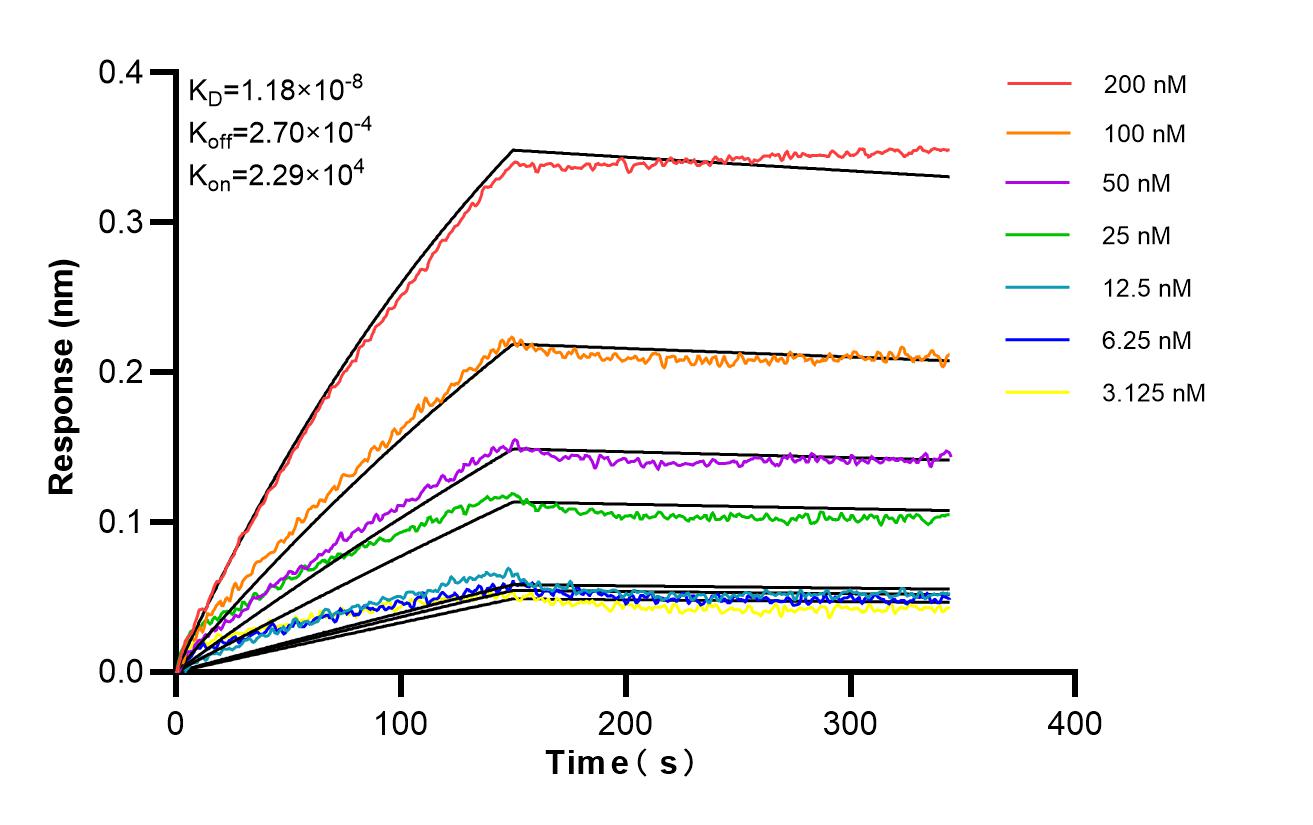 Affinity and Kinetic Characterization of 98643-1-RR Affinity and Kinetic Characterization of 98643-1-RR