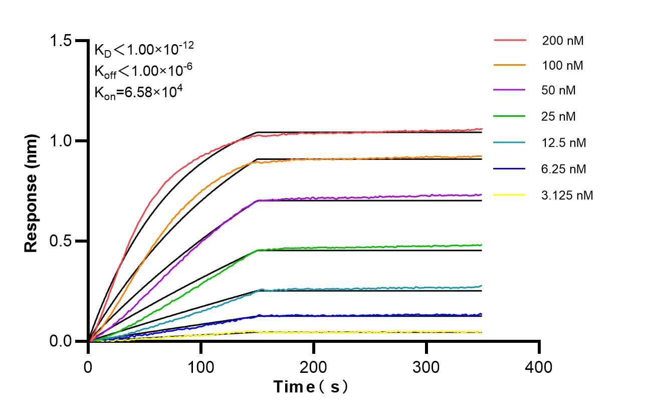 Affinity of 98645-2-RR