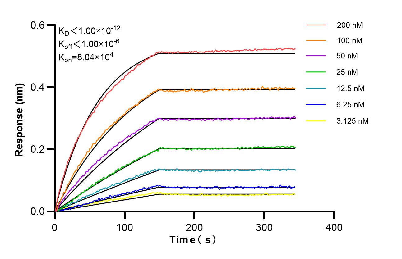 Affinity of 98651-1-RR