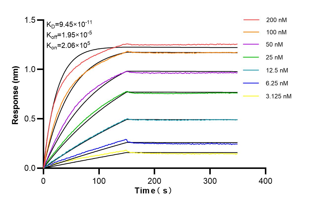 Affinity of 98652-2-RR Affinity of 98652-2-RR