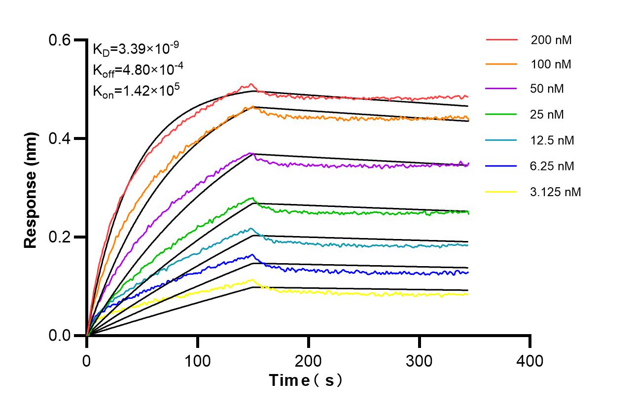 Affinity and Kinetic Characterization of 98683-1-RR