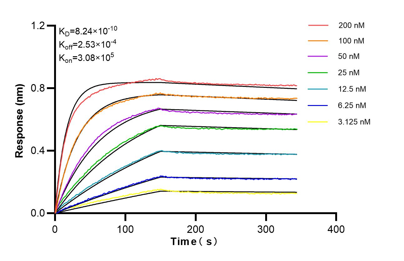 Affinity of 98700-1-RR