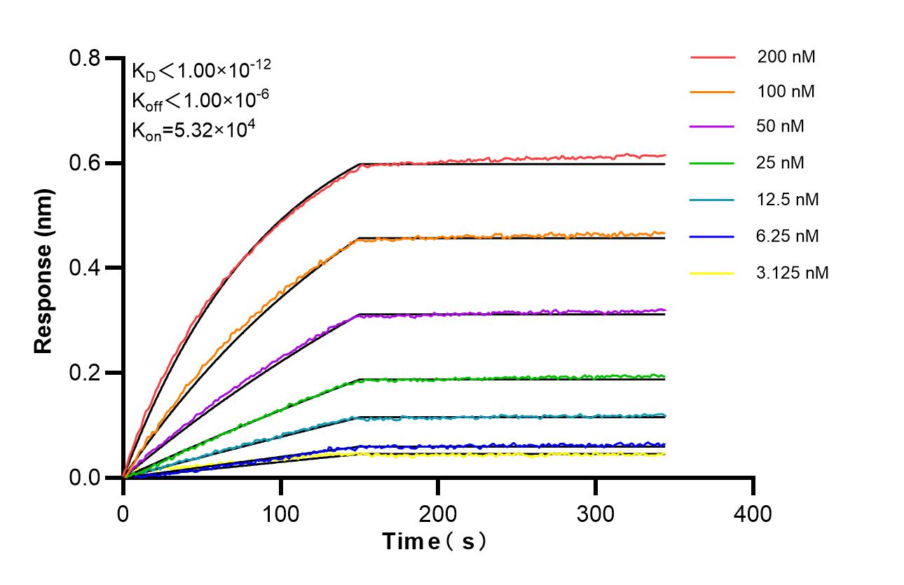 Affinity of 98735-3-RR Affinity of 98735-3-RR