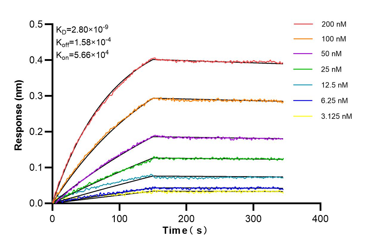 Affinity of 98752-3-RR Affinity of 98752-3-RR