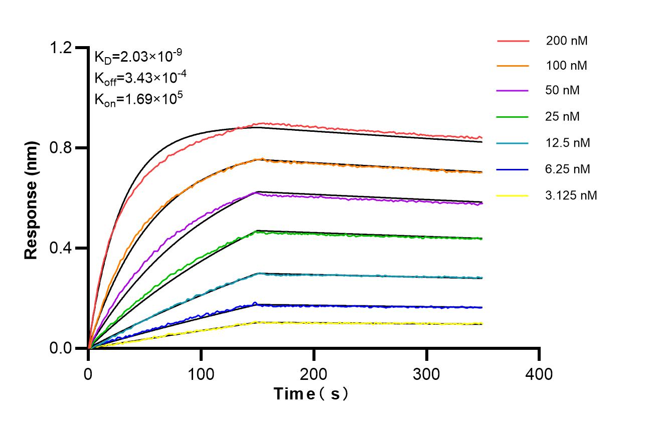 Affinity of 98766-2-RR Affinity of 98766-2-RR