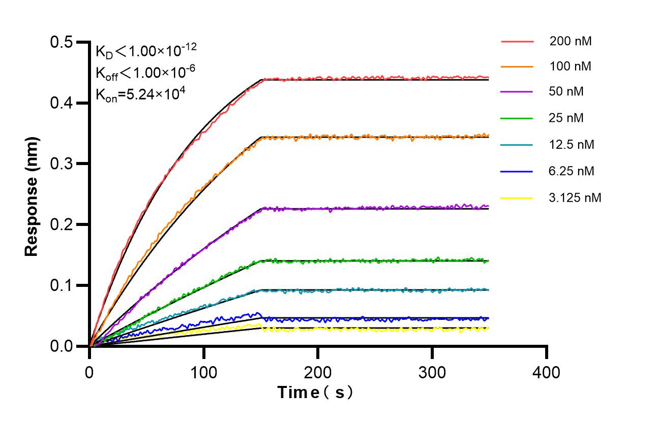 Affinity of 98810-1-RR