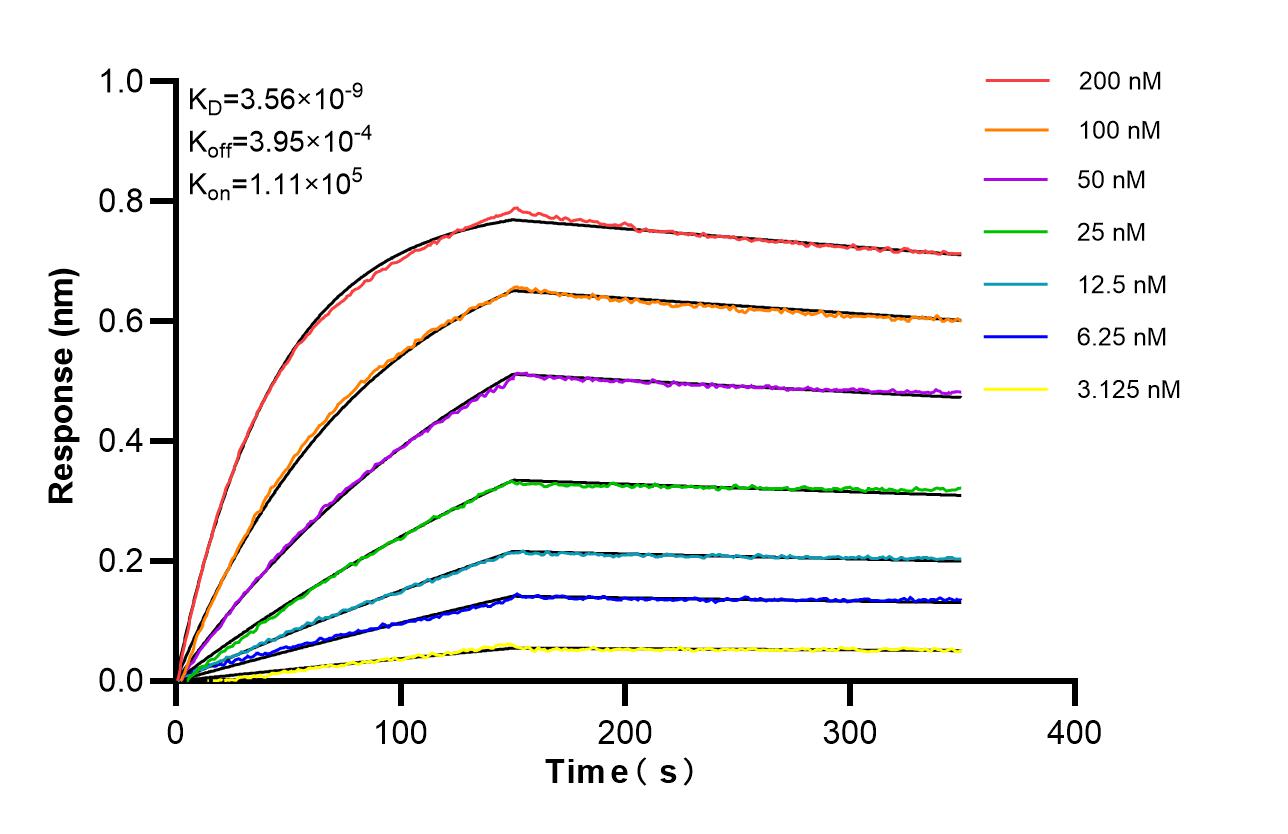Affinity of 98820-1-RR