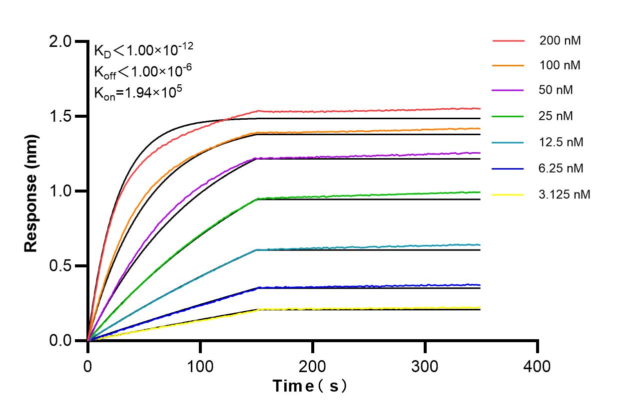 Affinity of 98824-2-RR Affinity of 98824-2-RR