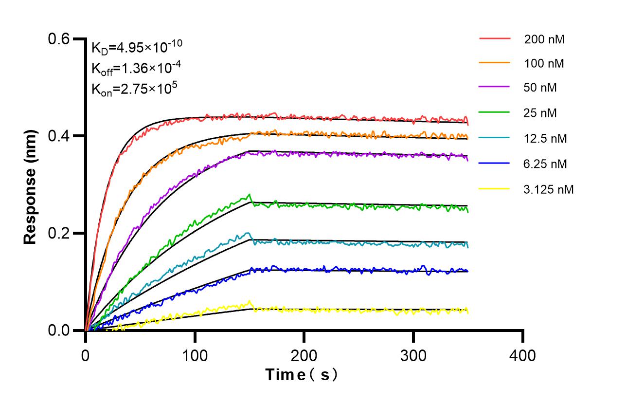 Affinity and Kinetic Characterization of SF98038-2-RR Affinity and Kinetic Characterization of SF98038-2-RR