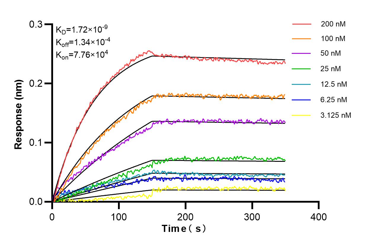 Affinity of SF98063-1-RR Affinity of SF98063-1-RR