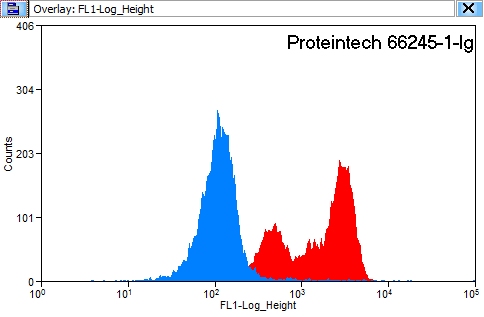 FC experiment of HeLa using 66245-1-Ig (same clone as 66245-1-PBS)