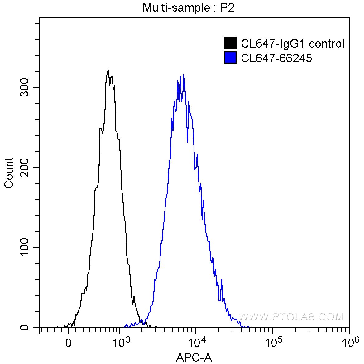 Annexin V