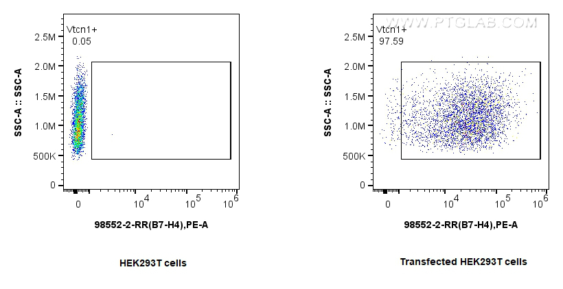 FC experiment of Transfected HEK-293T using 98552-2-RR FC experiment of Transfected HEK-293T using 98552-2-RR