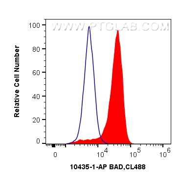 FC experiment of Jurkat using 10435-1-AP