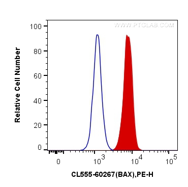 FC experiment of Ramos using CL555-60267