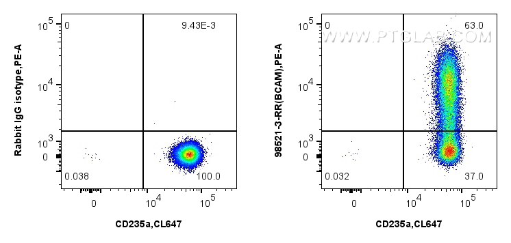 FC experiment of Human peripheral blood erythrocytes using 98521-3-RR (same clone as 98521-3-PBS) FC experiment of Human peripheral blood erythrocytes using 98521-3-RR (same clone as 98521-3-PBS)