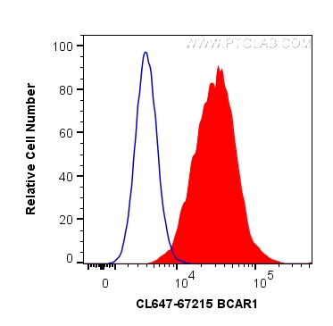 p130Cas / BCAR1