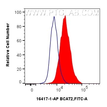 1x10^6 HepG2 cells were intracellularly stained with 0.25 ug BCAT2 Polyclonal antibody (16417-1-AP) and CoraLite®488-Conjugated Goat Anti-Rabbit IgG(H+L) (<a class='green' href='/productredirect?CatalogNo=SA00013-2' target='_blank'>SA00013-2</a>)(red), or 0.25 ug Isotype Control (blue). Cells were fixed with 4% PFA and permeabilized with Flow Cytometry Perm Buffer (<a class='green' href='/productredirect?CatalogNo=PF00017' target='_blank'>PF00017</a>). FC experiment of HepG2 using 16417-1-AP