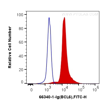 FC experiment of Jurkat using 66340-1-Ig