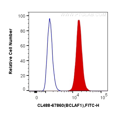 BCLAF1