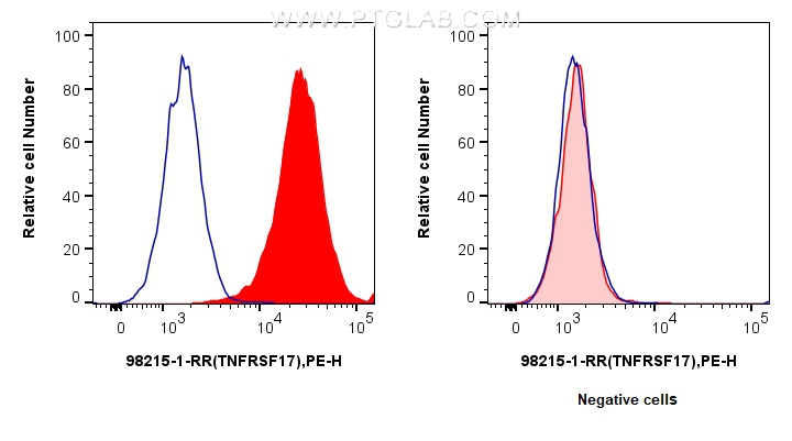 FC experiment of U266 using 98215-1-RR (same clone as 98215-1-PBS)